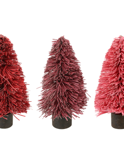 5158 TREE FRILL S/6
